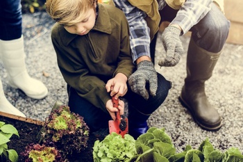 Tips voor een veilige & kindvriendelijke tuin