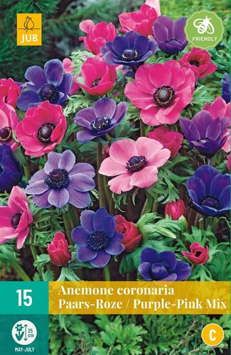 Anemone coronaria paars/roze mix 15 bollen