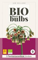 Bio Allium nectaroscordum siculum 5 bollen