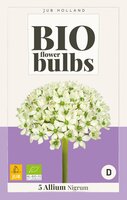 Bio allium nigrum 5 bollen