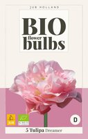 Bio tulp dreamer 5 bollen