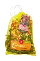 Dahlia collarette mix 10 knollen