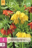 Fritillaria imperialis mix 3 bollen