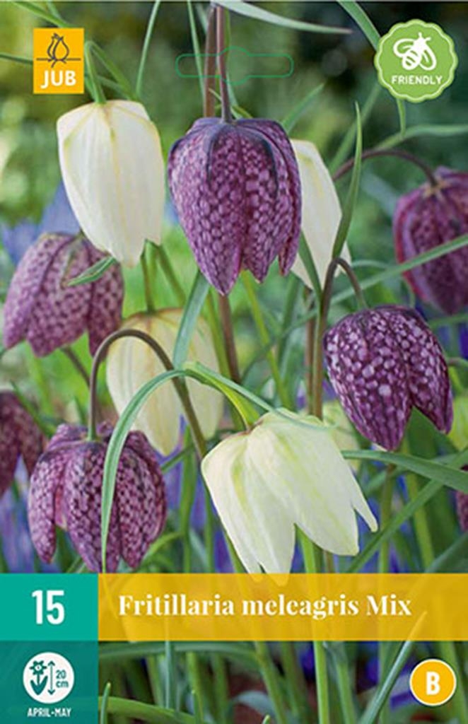 Fritillaria Meleagris Mix 15 Bollen - Bloembollen Kopen? | Goedkoop ...