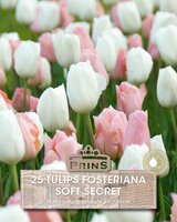 Prins tulpen soft secret 25 bollen