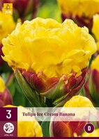 Tulp ice cream banana 3 bollen