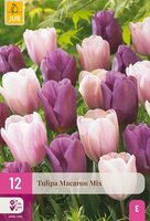 Tulpen macaron mix 12 bollen